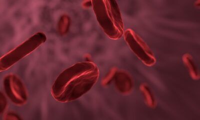 alta risoluzione cellule