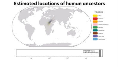 Creato il più grande albero genealogico dell’essere umano