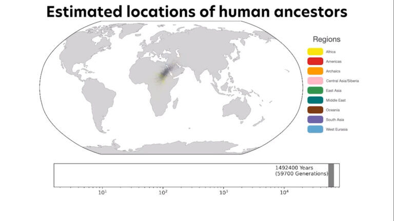 Creato il più grande albero genealogico dell’essere umano