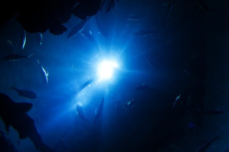 profondità oceaniche, oceano profondo sconosciuto
