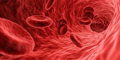 glucosio funzione enzima metabolismo
