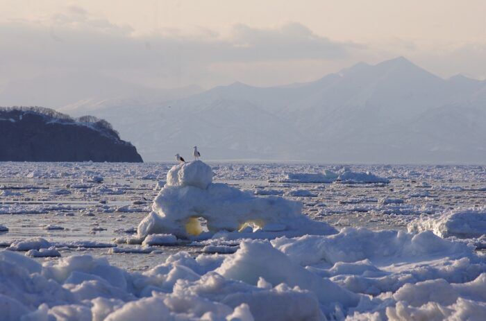 il ghiaccio marino artico si scioglie a ritmi elevati