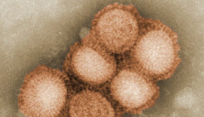 omicron-ba2-nuova-variante-coronavirus