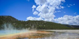 Yellowstone segnali eruzione