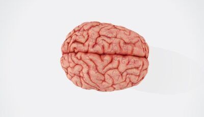 alzheimer-marcatori-diagnosi-anticipata