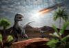 dinosauri fossile impatto