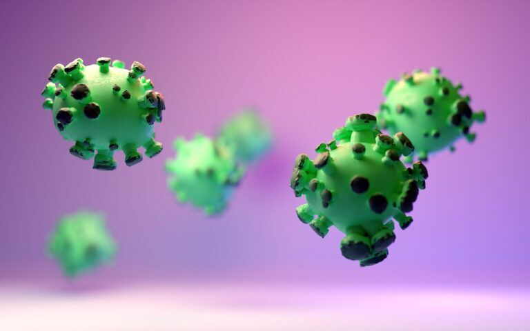 virus nuove specie