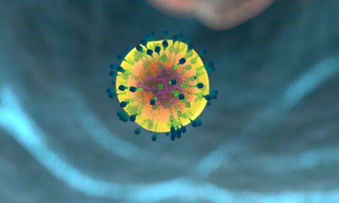 tumori solidi cellule T