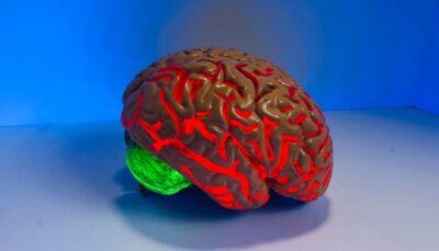 diabete-invecchiamento-cerebrale-accelerato