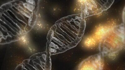 fisica meccanica quantistica, DNA