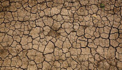 ondate-di-caldo-cambiamento-climatico