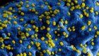pandemie-cambiamento-climatico-virus