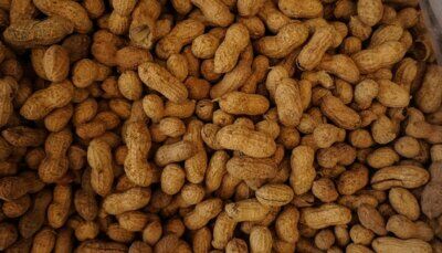 allergie-alimentari-cibo-età