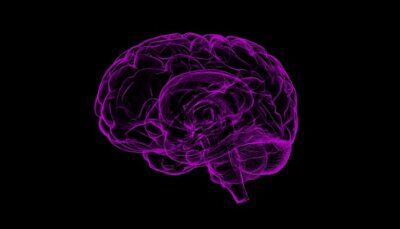 alzheimer-virus-comune-malattia