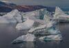 Artico, riscaldamento globale e scioglimento dell'artico