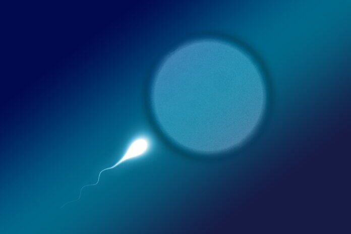 infertilità uomini mutazioni cromosoma