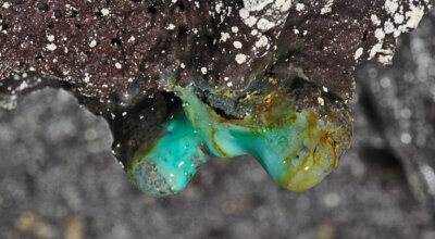 misteriose forme di vita nelle grotte delle Hawaii