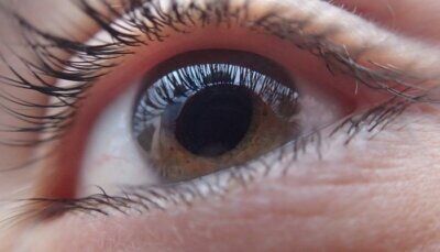 cecità-trapianto-cornea-maiala