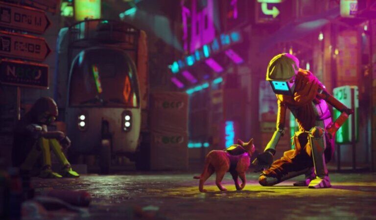 stray