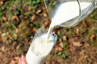 latte piselli base vegetale valore nutritivo