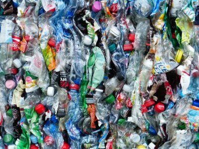 chimica pellicola plastica virus