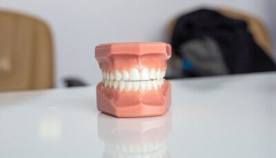 denti-batteri-funghi-superorganismo