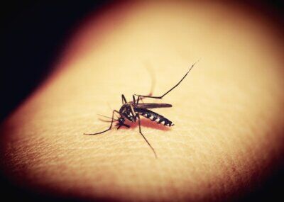 Morte Nera malattie autoimmuni