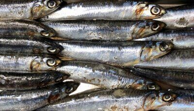omega-3-effetti-cervello-dieta