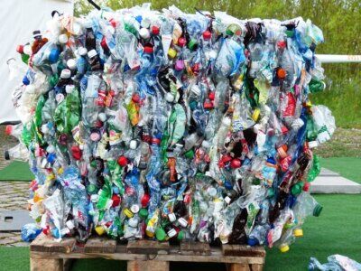 plastica larve falena