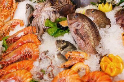 alimentazione pesce carbonio