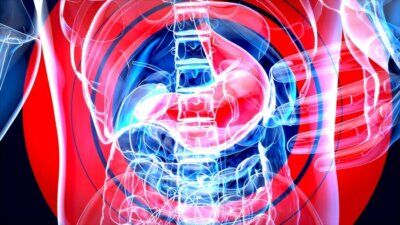 intestino salute prebiotici