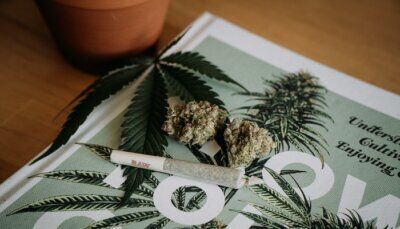 cannabis-finta-sensazione-creatività