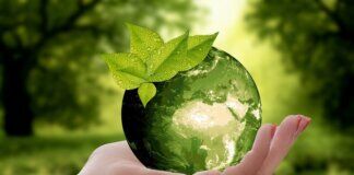 Greenwahing sostenibilità