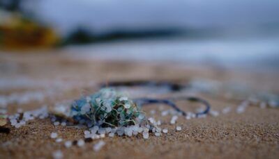 microplastica-inquinamento-accumulo-marino
