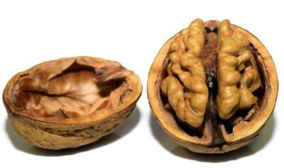 Le noci possono aiutarci a combattere lo stress