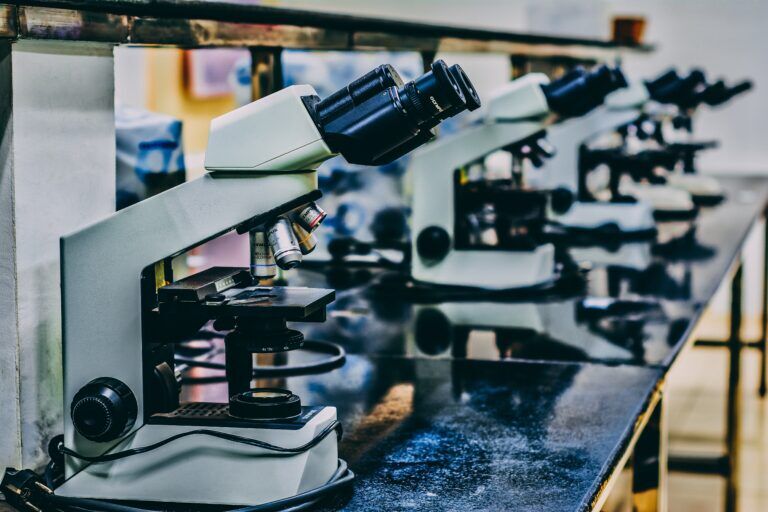 Le 10 scoperte scientifiche che hanno contraddistinto il 2022