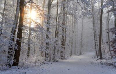 riscaldamento globale inverno freddo