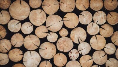 stampare-legno-3d-alberi