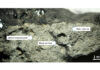 Composti organici nel meteorite proveniente da Marte