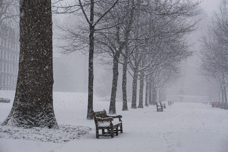 tempeste-neve