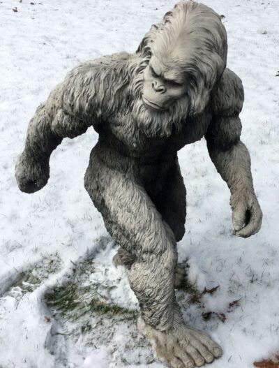 big-foot