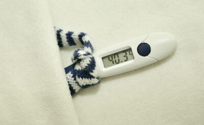 influenza composto inibizione virus