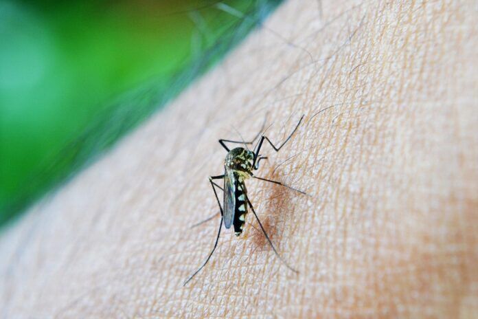 malaria cambiamento climatico Africa