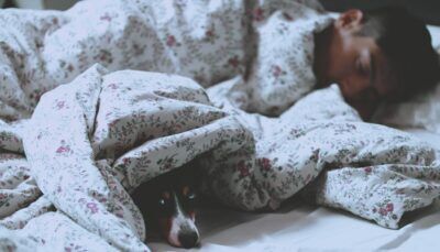 sonno-aggressività-effetto-cervello