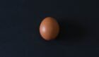 uovo-gallina