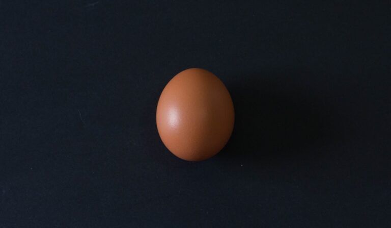 uovo-gallina