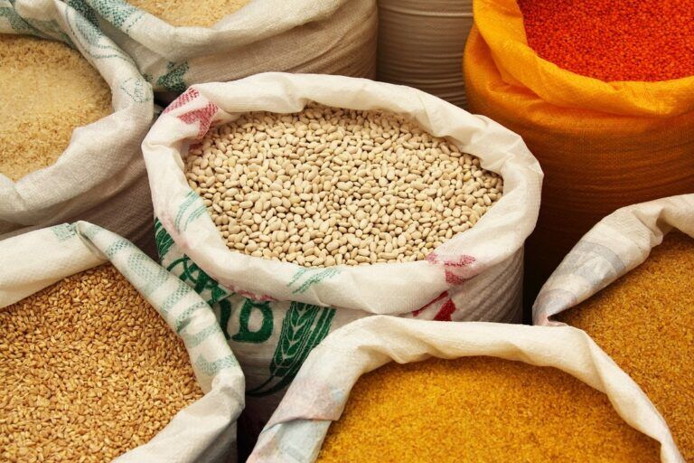 riso integrale ricchezza nutrizionale