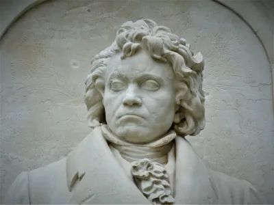 nuovi dettagli sualla morte del compositore dal DNA dei suoi capelli