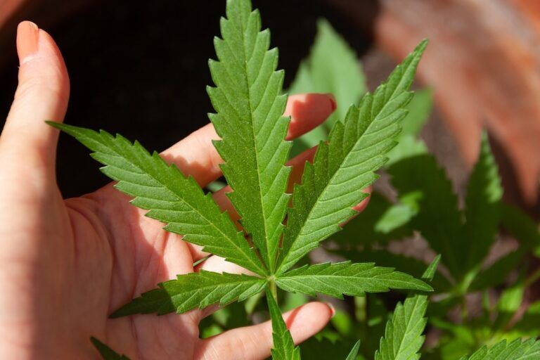 marijuana effetti collaterali depressione