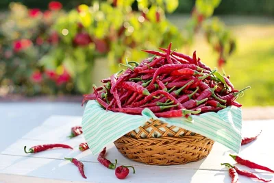 peperoncino benefici salute